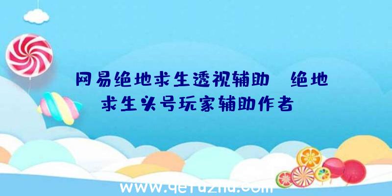 「网易绝地求生透视辅助」|绝地求生头号玩家辅助作者